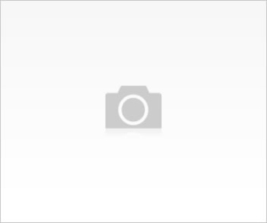 Kalp pili nedir? Farklı tipleri var mıdır?