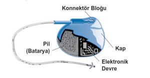 Kalp pili takılması sonrası erken dönemde yapılması ve dikkat edilmesi gereken durumlar nelerdir?